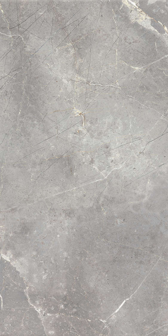 Керамогранит Italon Charme Evo Imperiale 45x90