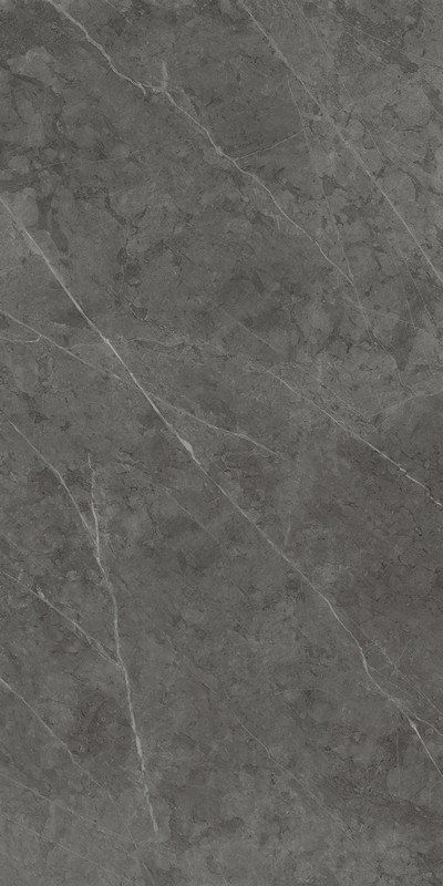 Керамогранит Italon Charme Evo Antracite 80x160