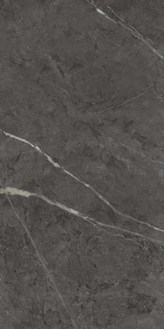 Керамогранит Italon Charme Evo Antracite 30x60