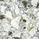 Керамогранит Atlas Concorde 610015000703 F.d.M.Quark Ceppo Apuano Forest Lapp Rett 80x80