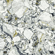 Керамогранит Atlas Concorde 610010002971 F.d.M.Quark Ceppo Apuano Forest Matt Rett 80x80